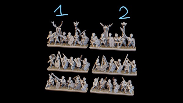 Prydain Tribes - Warriors Regiment 1
