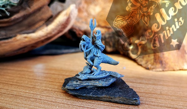 Shadow Elves - Witch on Lizard